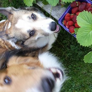 Meet your Posher, Beckie